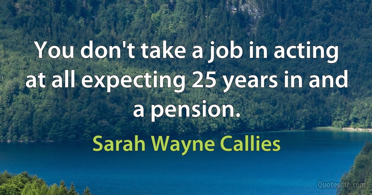 You don't take a job in acting at all expecting 25 years in and a pension. (Sarah Wayne Callies)