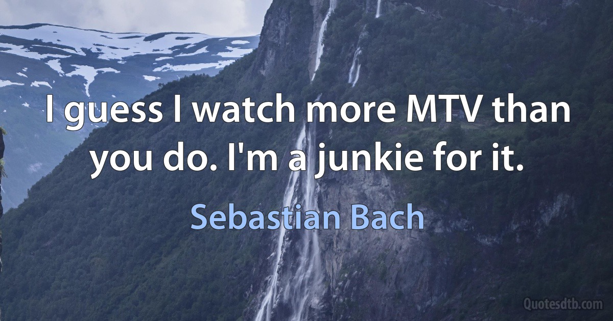 I guess I watch more MTV than you do. I'm a junkie for it. (Sebastian Bach)