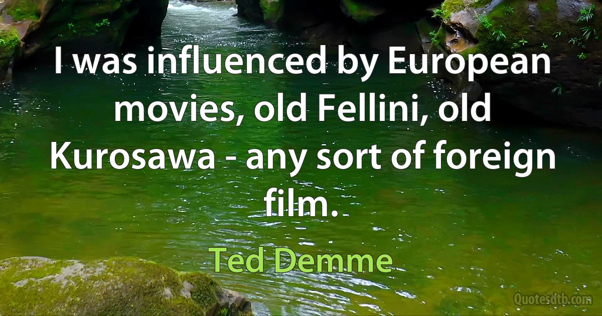 I was influenced by European movies, old Fellini, old Kurosawa - any sort of foreign film. (Ted Demme)