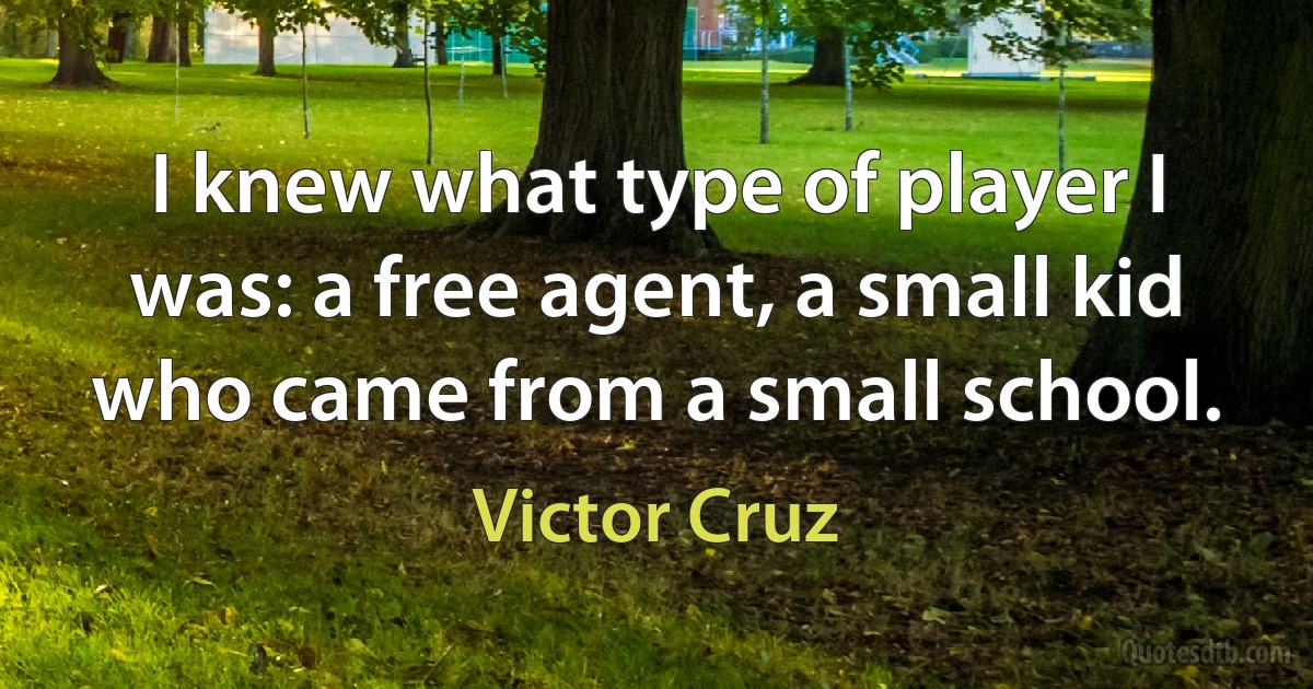 I knew what type of player I was: a free agent, a small kid who came from a small school. (Victor Cruz)