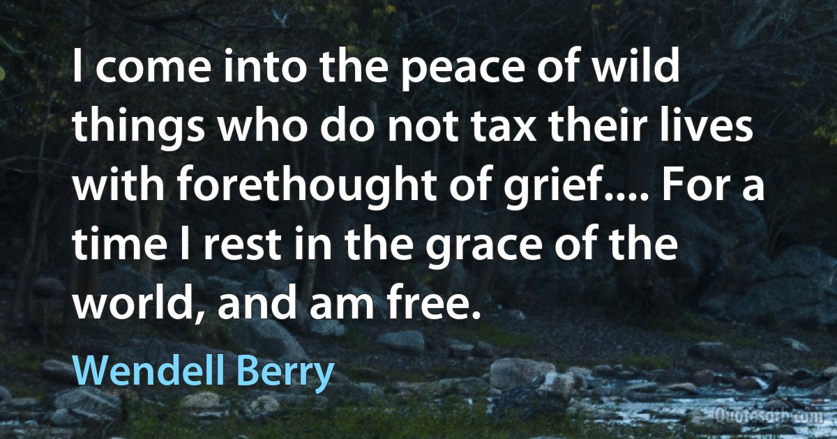 I come into the peace of wild things who do not tax their lives with forethought of grief.... For a time I rest in the grace of the world, and am free. (Wendell Berry)