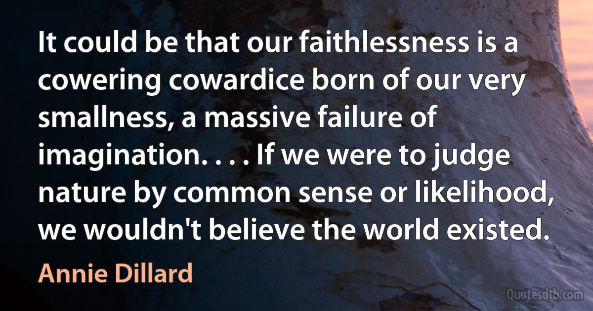 It could be that our faithlessness is a cowering cowardice born of our very smallness, a massive failure of imagination. . . . If we were to judge nature by common sense or likelihood, we wouldn't believe the world existed. (Annie Dillard)