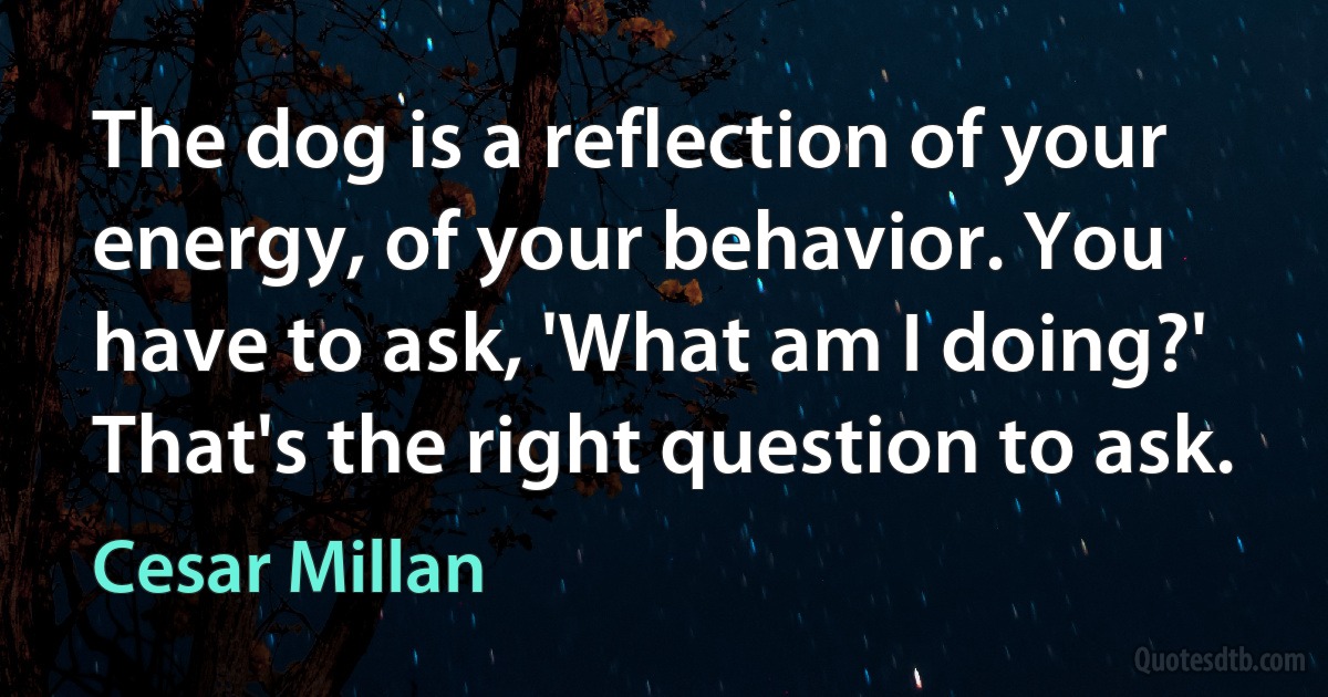 The dog is a reflection of your energy, of your behavior. You have to ask, 'What am I doing?' That's the right question to ask. (Cesar Millan)