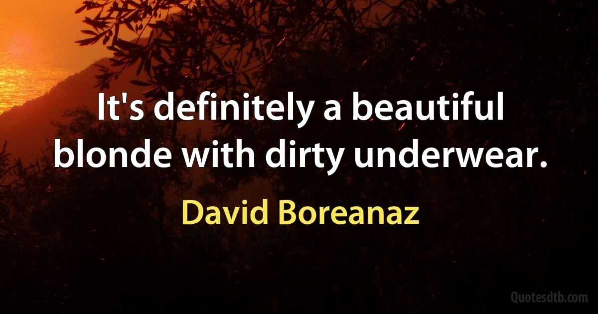 It's definitely a beautiful blonde with dirty underwear. (David Boreanaz)