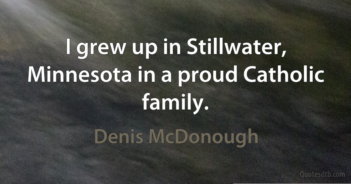 I grew up in Stillwater, Minnesota in a proud Catholic family. (Denis McDonough)