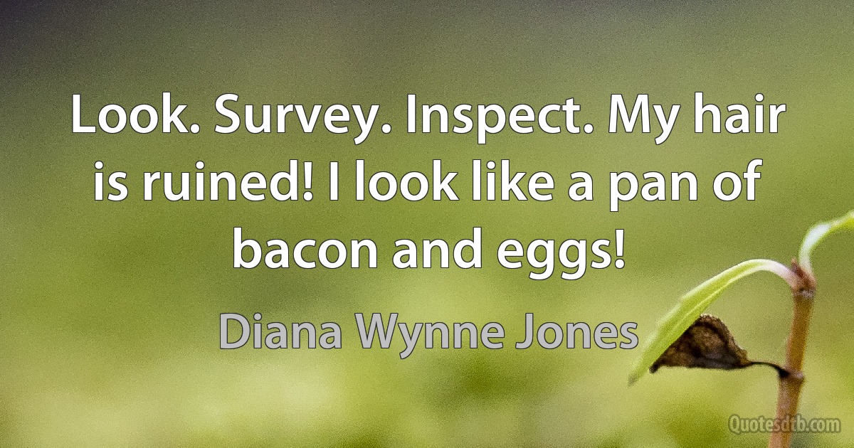 Look. Survey. Inspect. My hair is ruined! I look like a pan of bacon and eggs! (Diana Wynne Jones)