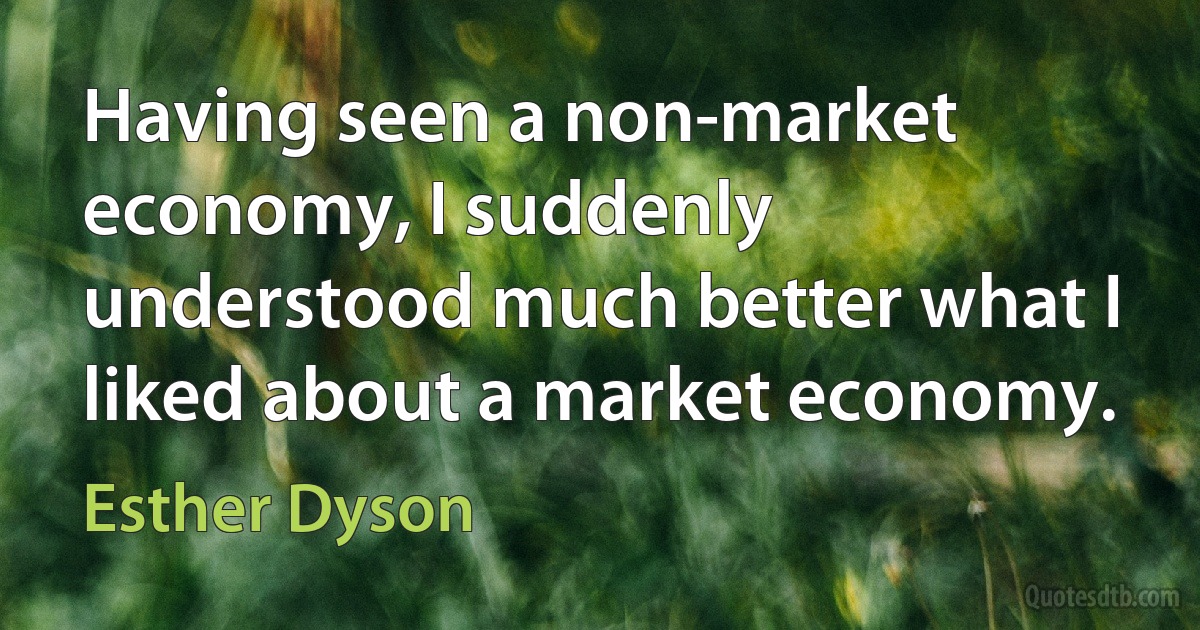 Having seen a non-market economy, I suddenly understood much better what I liked about a market economy. (Esther Dyson)