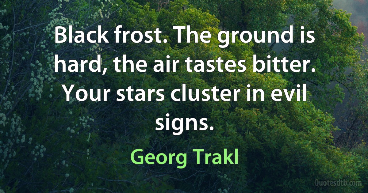 Black frost. The ground is hard, the air tastes bitter. Your stars cluster in evil signs. (Georg Trakl)