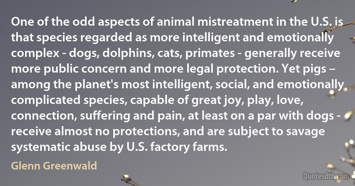 One of the odd aspects of animal mistreatment in the U.S. is that species regarded as more intelligent and emotionally complex - dogs, dolphins, cats, primates - generally receive more public concern and more legal protection. Yet pigs – among the planet's most intelligent, social, and emotionally complicated species, capable of great joy, play, love, connection, suffering and pain, at least on a par with dogs - receive almost no protections, and are subject to savage systematic abuse by U.S. factory farms. (Glenn Greenwald)