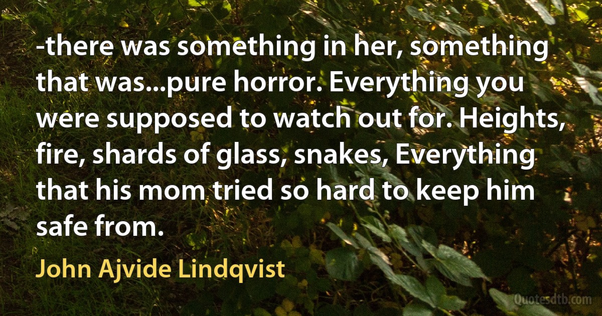 -there was something in her, something that was...pure horror. Everything you were supposed to watch out for. Heights, fire, shards of glass, snakes, Everything that his mom tried so hard to keep him safe from. (John Ajvide Lindqvist)