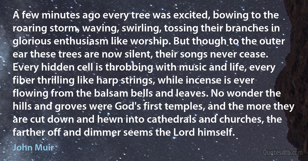 A few minutes ago every tree was excited, bowing to the roaring storm, waving, swirling, tossing their branches in glorious enthusiasm like worship. But though to the outer ear these trees are now silent, their songs never cease. Every hidden cell is throbbing with music and life, every fiber thrilling like harp strings, while incense is ever flowing from the balsam bells and leaves. No wonder the hills and groves were God's first temples, and the more they are cut down and hewn into cathedrals and churches, the farther off and dimmer seems the Lord himself. (John Muir)