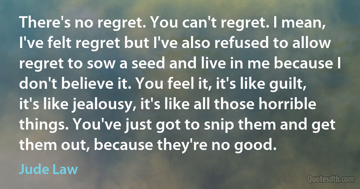 There's no regret. You can't regret. I mean, I've felt regret but I've also refused to allow regret to sow a seed and live in me because I don't believe it. You feel it, it's like guilt, it's like jealousy, it's like all those horrible things. You've just got to snip them and get them out, because they're no good. (Jude Law)