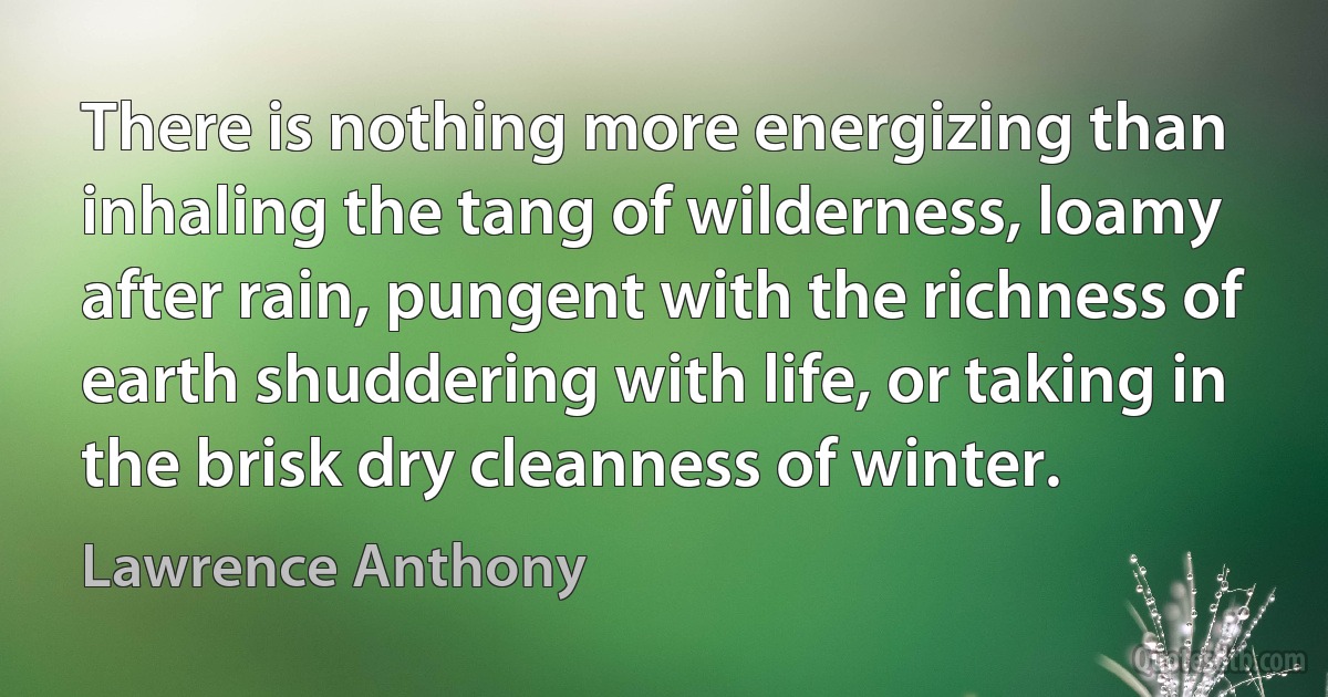 There is nothing more energizing than inhaling the tang of wilderness, loamy after rain, pungent with the richness of earth shuddering with life, or taking in the brisk dry cleanness of winter. (Lawrence Anthony)