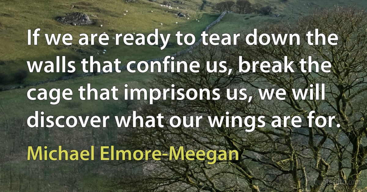 If we are ready to tear down the walls that confine us, break the cage that imprisons us, we will discover what our wings are for. (Michael Elmore-Meegan)