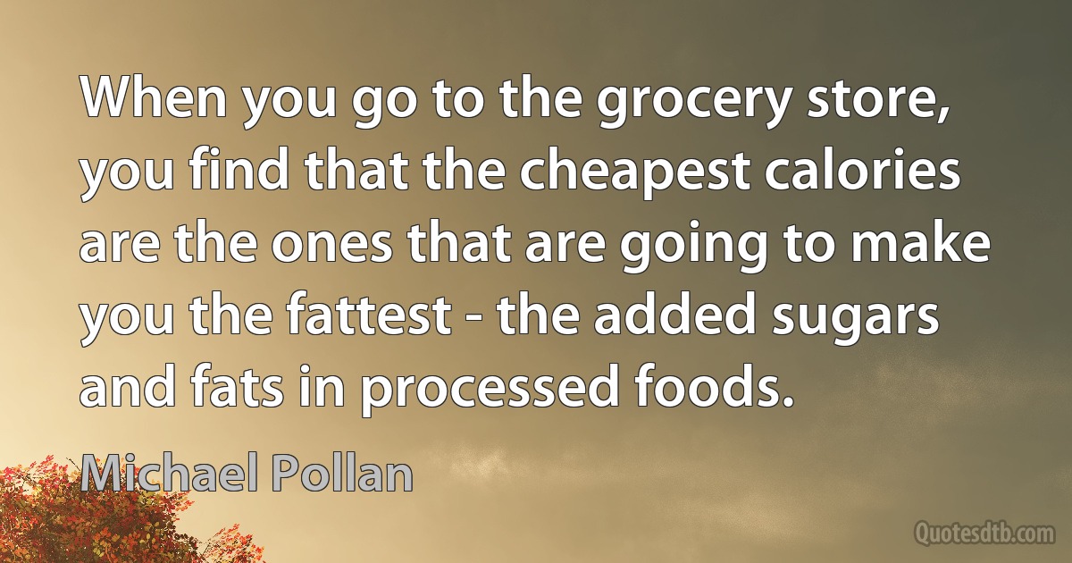 When you go to the grocery store, you find that the cheapest calories are the ones that are going to make you the fattest - the added sugars and fats in processed foods. (Michael Pollan)