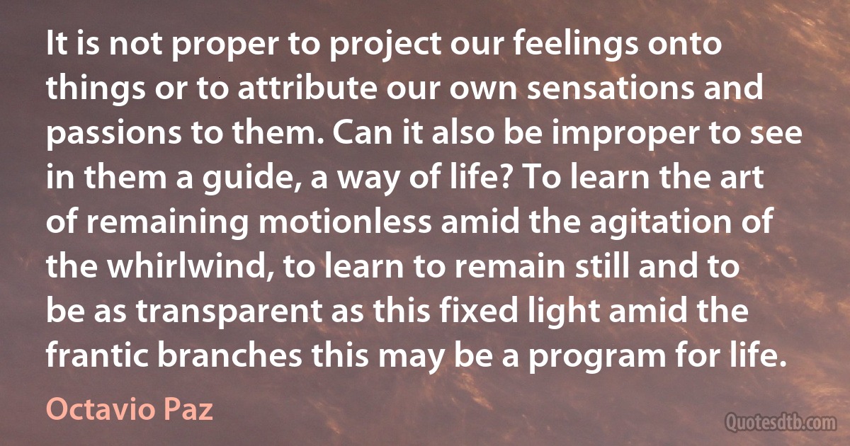 It is not proper to project our feelings onto things or to attribute our own sensations and passions to them. Can it also be improper to see in them a guide, a way of life? To learn the art of remaining motionless amid the agitation of the whirlwind, to learn to remain still and to be as transparent as this fixed light amid the frantic branches this may be a program for life. (Octavio Paz)