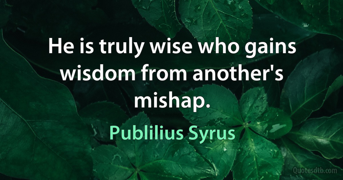 He is truly wise who gains wisdom from another's mishap. (Publilius Syrus)