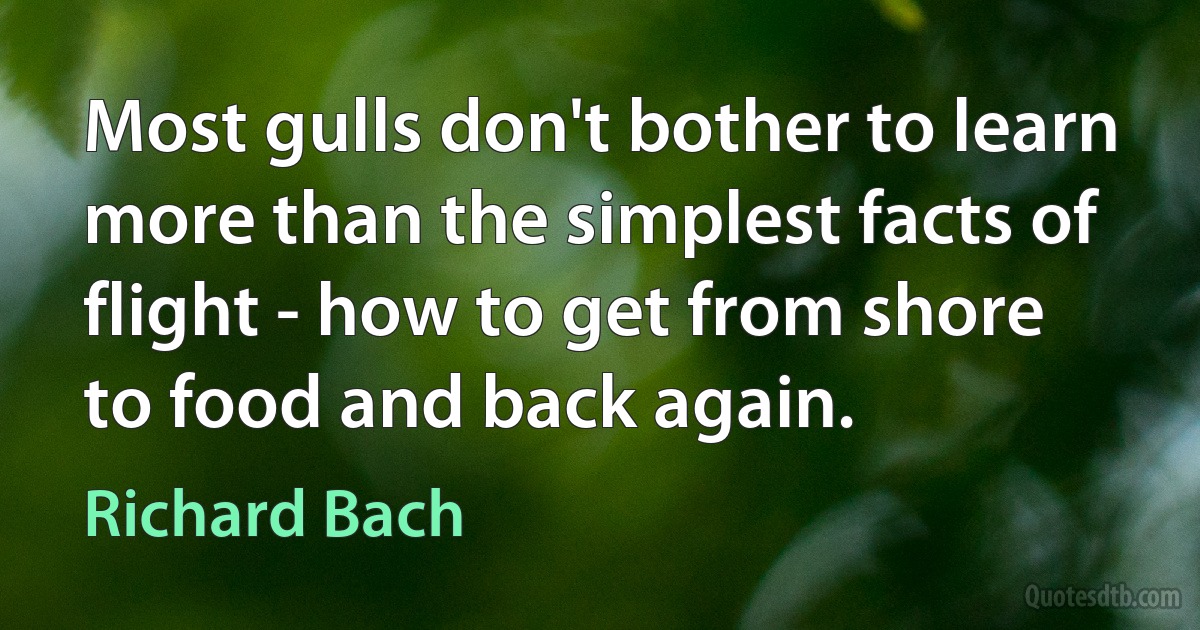 Most gulls don't bother to learn more than the simplest facts of flight - how to get from shore to food and back again. (Richard Bach)