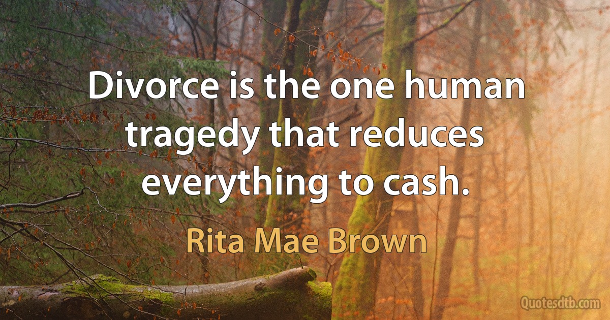 Divorce is the one human tragedy that reduces everything to cash. (Rita Mae Brown)