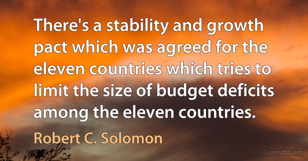 There's a stability and growth pact which was agreed for the eleven countries which tries to limit the size of budget deficits among the eleven countries. (Robert C. Solomon)