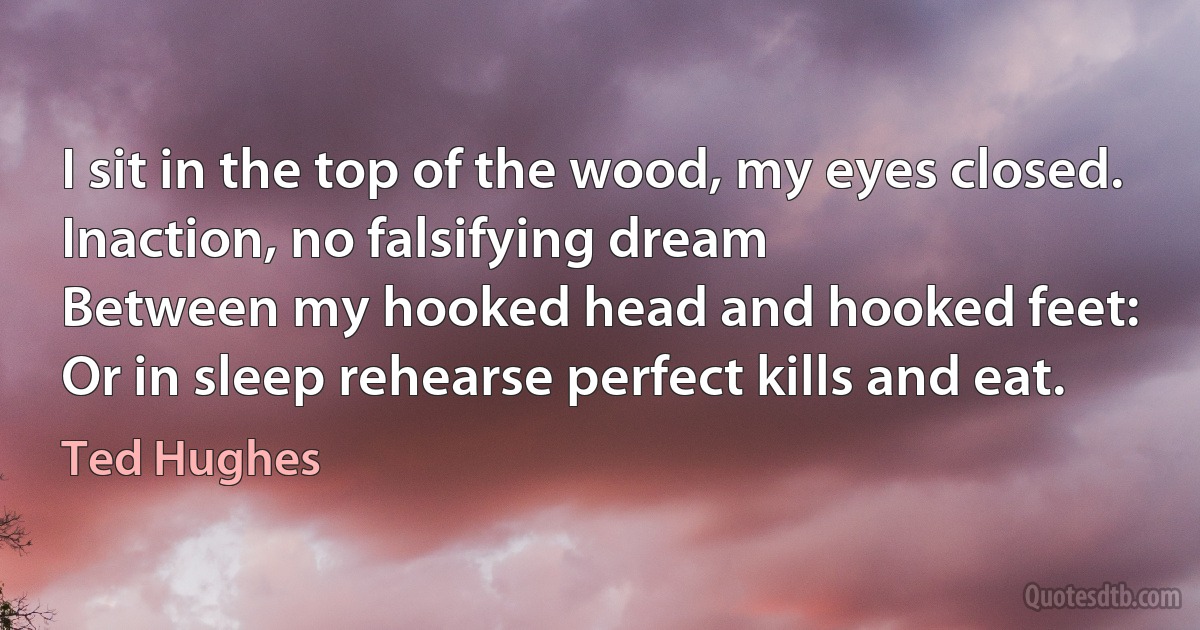 I sit in the top of the wood, my eyes closed.
Inaction, no falsifying dream
Between my hooked head and hooked feet:
Or in sleep rehearse perfect kills and eat. (Ted Hughes)