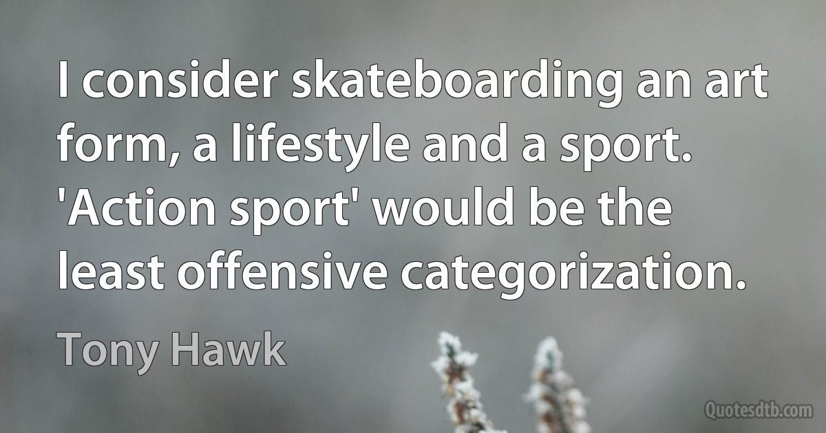 I consider skateboarding an art form, a lifestyle and a sport. 'Action sport' would be the least offensive categorization. (Tony Hawk)