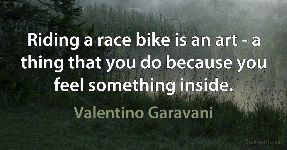 Riding a race bike is an art - a thing that you do because you feel something inside. (Valentino Garavani)