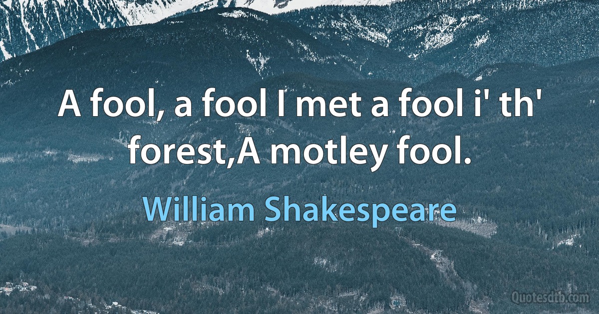 A fool, a fool I met a fool i' th' forest,A motley fool. (William Shakespeare)