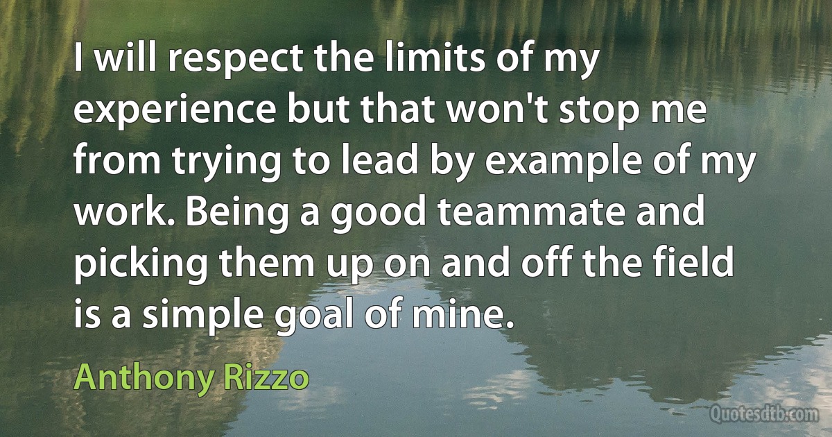 I will respect the limits of my experience but that won't stop me from trying to lead by example of my work. Being a good teammate and picking them up on and off the field is a simple goal of mine. (Anthony Rizzo)