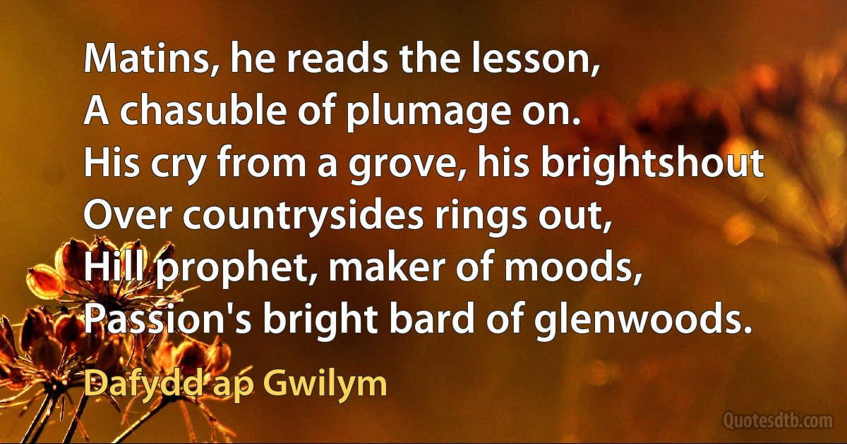 Matins, he reads the lesson,
A chasuble of plumage on.
His cry from a grove, his brightshout
Over countrysides rings out,
Hill prophet, maker of moods,
Passion's bright bard of glenwoods. (Dafydd ap Gwilym)