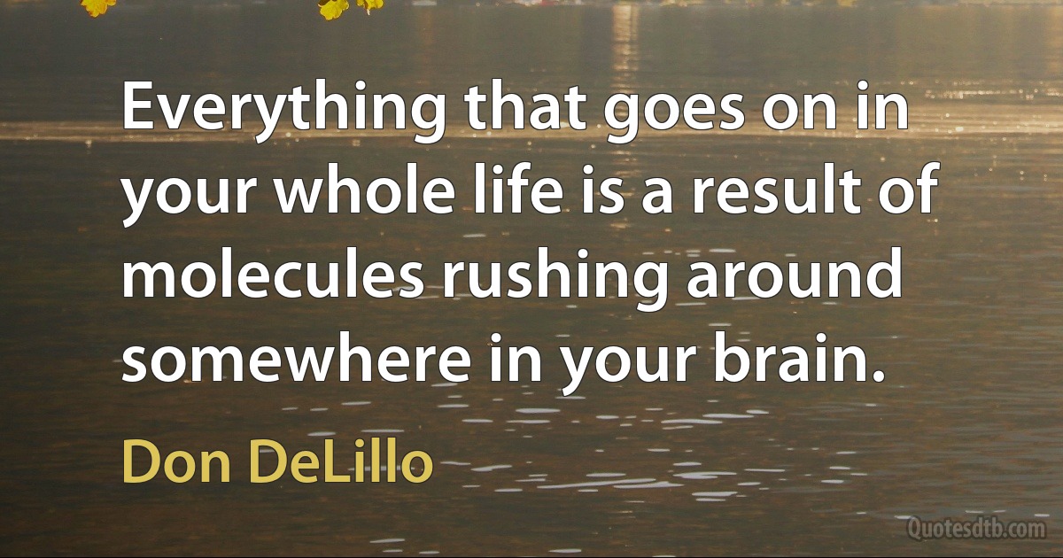 Everything that goes on in your whole life is a result of molecules rushing around somewhere in your brain. (Don DeLillo)