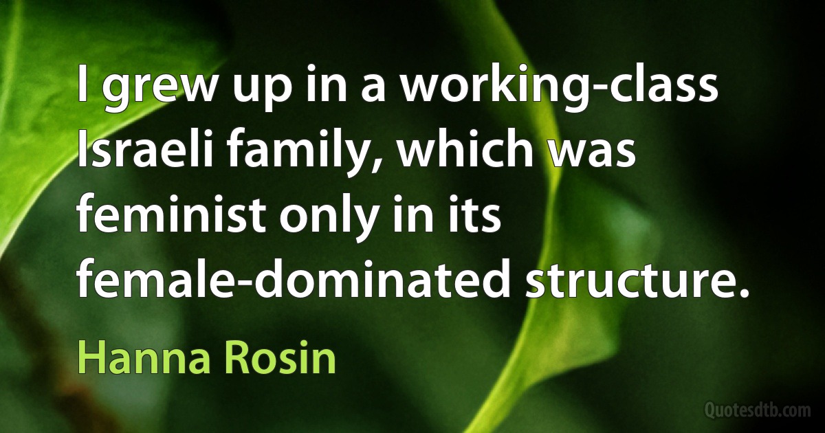 I grew up in a working-class Israeli family, which was feminist only in its female-dominated structure. (Hanna Rosin)