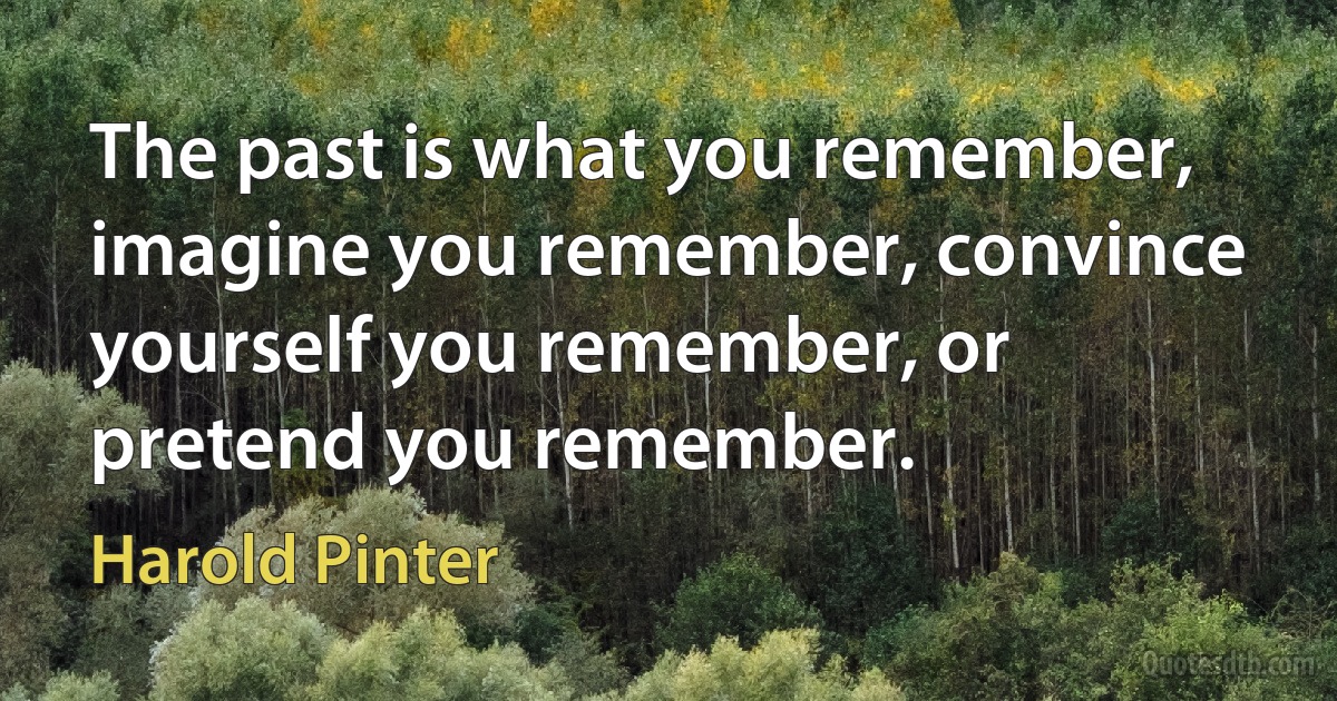 The past is what you remember, imagine you remember, convince yourself you remember, or pretend you remember. (Harold Pinter)