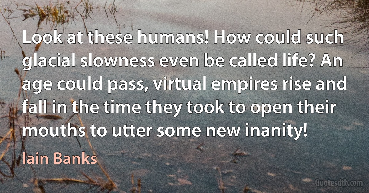 Look at these humans! How could such glacial slowness even be called life? An age could pass, virtual empires rise and fall in the time they took to open their mouths to utter some new inanity! (Iain Banks)