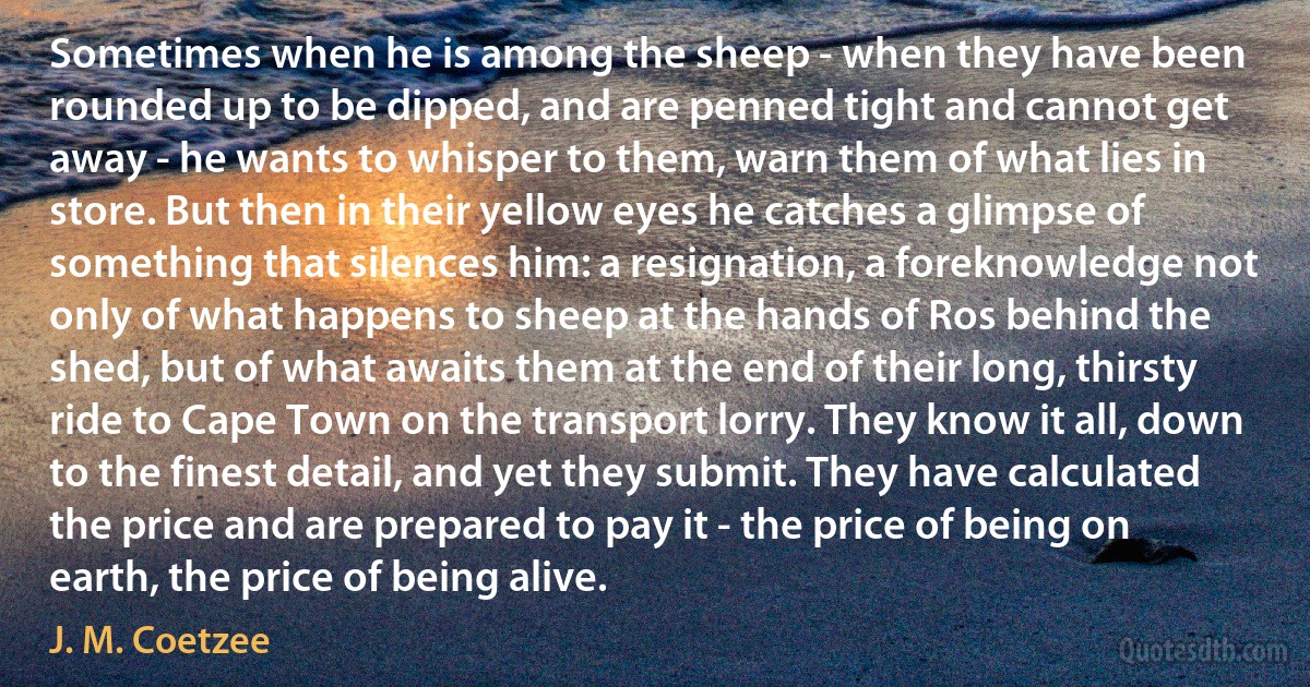 Sometimes when he is among the sheep - when they have been rounded up to be dipped, and are penned tight and cannot get away - he wants to whisper to them, warn them of what lies in store. But then in their yellow eyes he catches a glimpse of something that silences him: a resignation, a foreknowledge not only of what happens to sheep at the hands of Ros behind the shed, but of what awaits them at the end of their long, thirsty ride to Cape Town on the transport lorry. They know it all, down to the finest detail, and yet they submit. They have calculated the price and are prepared to pay it - the price of being on earth, the price of being alive. (J. M. Coetzee)