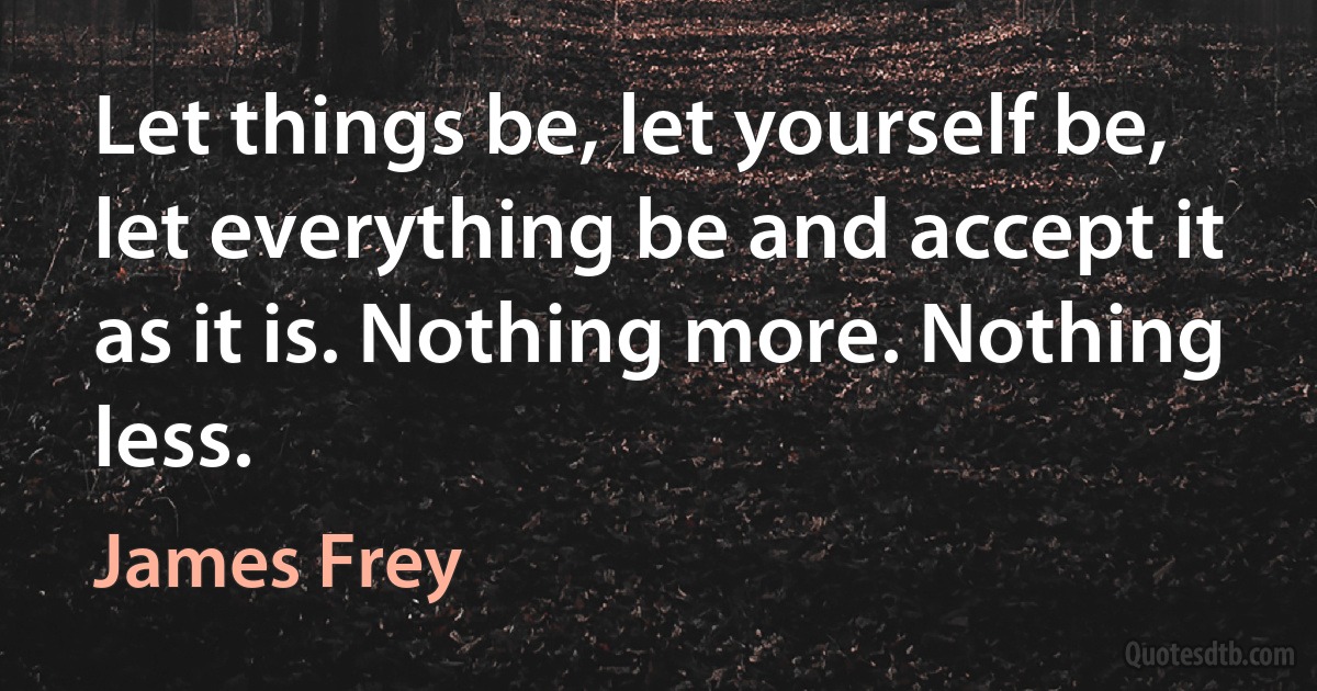 Let things be, let yourself be, let everything be and accept it as it is. Nothing more. Nothing less. (James Frey)