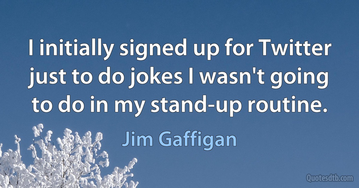 I initially signed up for Twitter just to do jokes I wasn't going to do in my stand-up routine. (Jim Gaffigan)