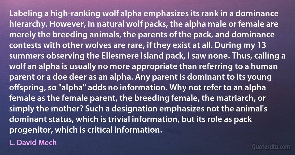 Labeling a high-ranking wolf alpha emphasizes its rank in a dominance hierarchy. However, in natural wolf packs, the alpha male or female are merely the breeding animals, the parents of the pack, and dominance contests with other wolves are rare, if they exist at all. During my 13 summers observing the Ellesmere Island pack, I saw none. Thus, calling a wolf an alpha is usually no more appropriate than referring to a human parent or a doe deer as an alpha. Any parent is dominant to its young offspring, so "alpha" adds no information. Why not refer to an alpha female as the female parent, the breeding female, the matriarch, or simply the mother? Such a designation emphasizes not the animal's dominant status, which is trivial information, but its role as pack progenitor, which is critical information. (L. David Mech)