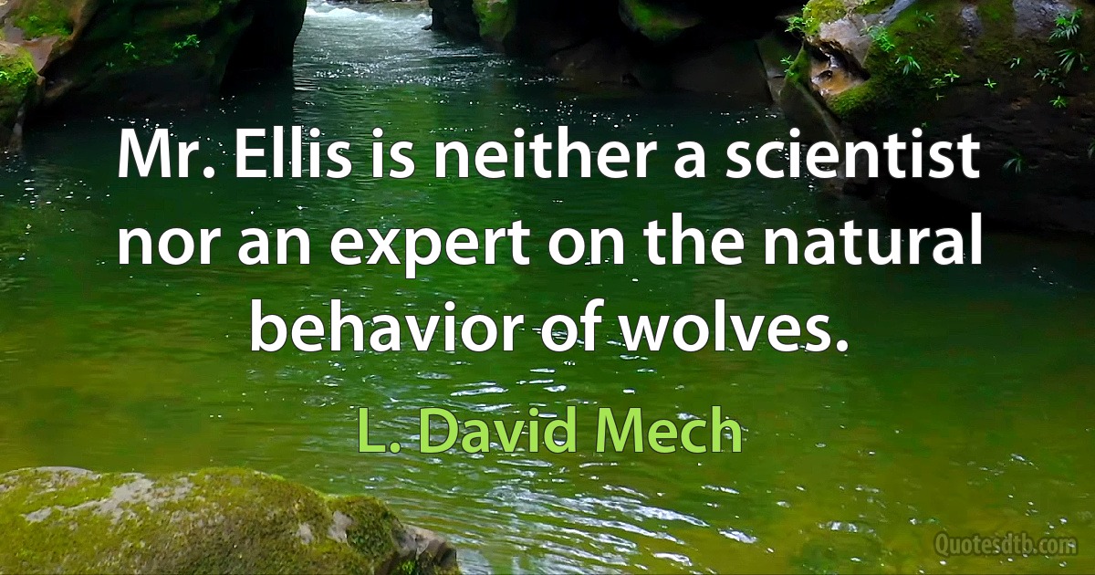 Mr. Ellis is neither a scientist nor an expert on the natural behavior of wolves. (L. David Mech)