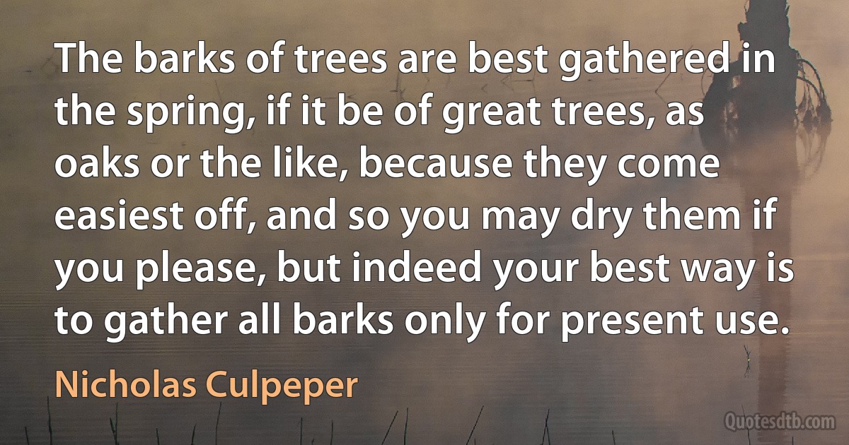 The barks of trees are best gathered in the spring, if it be of great trees, as oaks or the like, because they come easiest off, and so you may dry them if you please, but indeed your best way is to gather all barks only for present use. (Nicholas Culpeper)