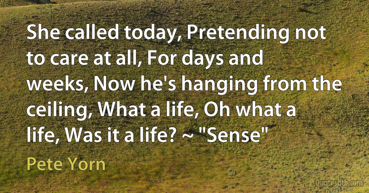 She called today, Pretending not to care at all, For days and weeks, Now he's hanging from the ceiling, What a life, Oh what a life, Was it a life? ~ "Sense" (Pete Yorn)