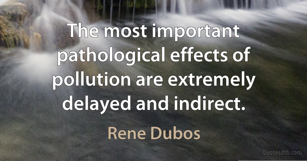 The most important pathological effects of pollution are extremely delayed and indirect. (Rene Dubos)