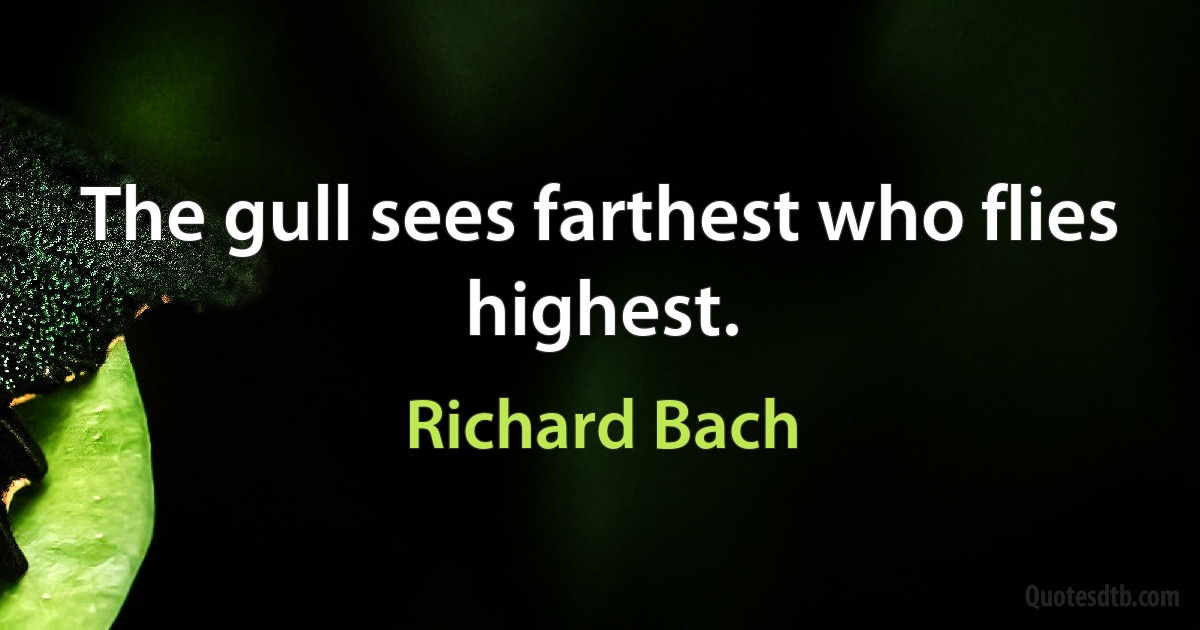 The gull sees farthest who flies highest. (Richard Bach)