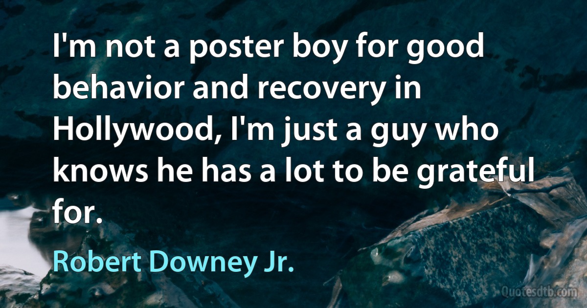 I'm not a poster boy for good behavior and recovery in Hollywood, I'm just a guy who knows he has a lot to be grateful for. (Robert Downey Jr.)