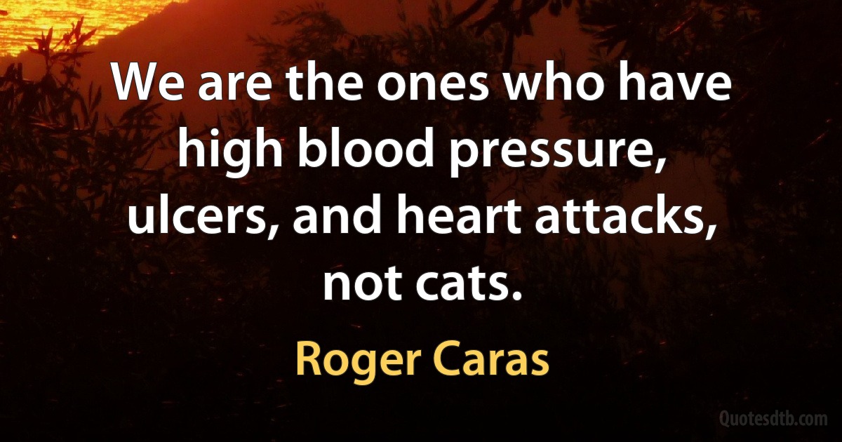 We are the ones who have high blood pressure, ulcers, and heart attacks, not cats. (Roger Caras)