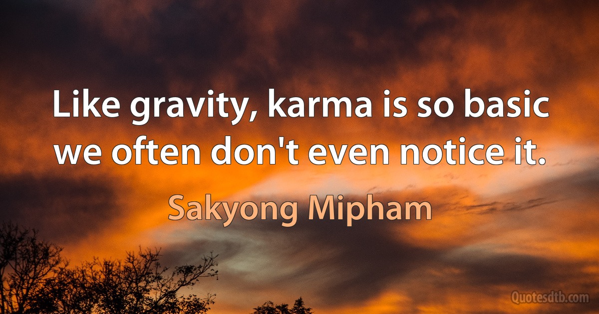 Like gravity, karma is so basic we often don't even notice it. (Sakyong Mipham)