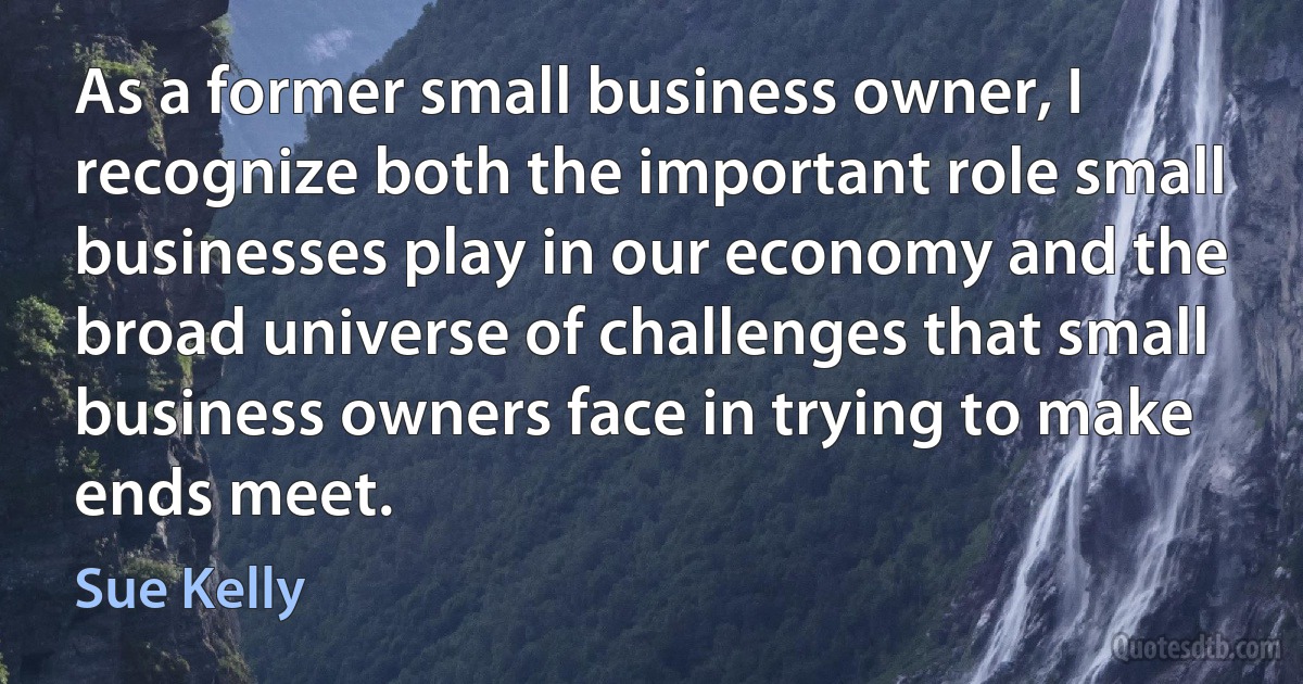 As a former small business owner, I recognize both the important role small businesses play in our economy and the broad universe of challenges that small business owners face in trying to make ends meet. (Sue Kelly)