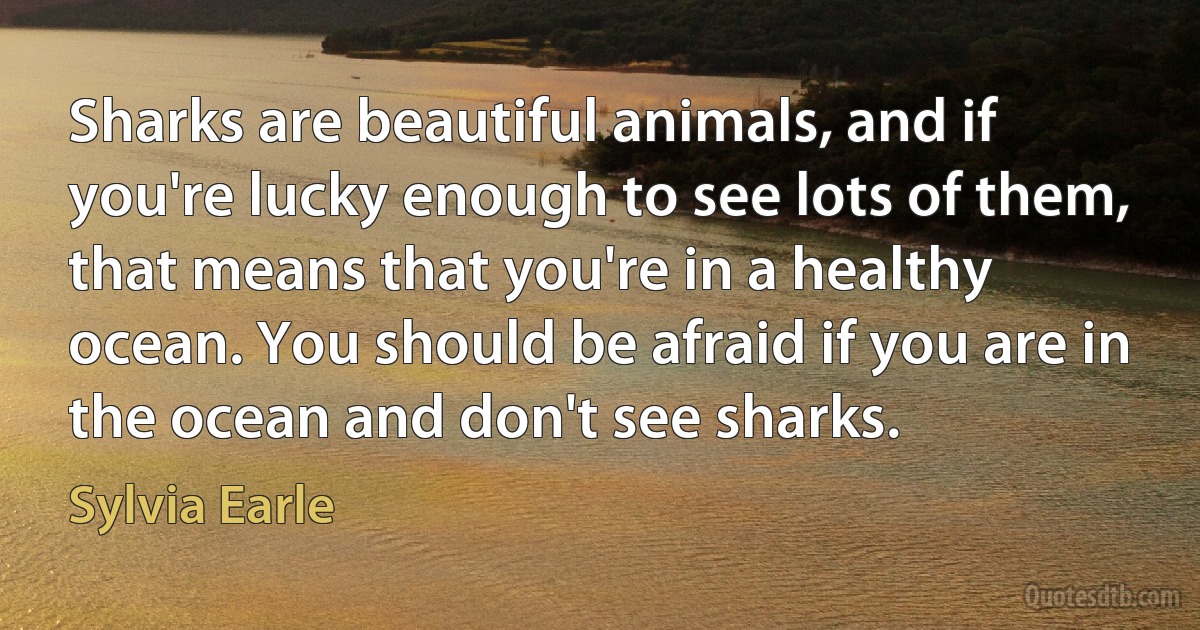 Sharks are beautiful animals, and if you're lucky enough to see lots of them, that means that you're in a healthy ocean. You should be afraid if you are in the ocean and don't see sharks. (Sylvia Earle)