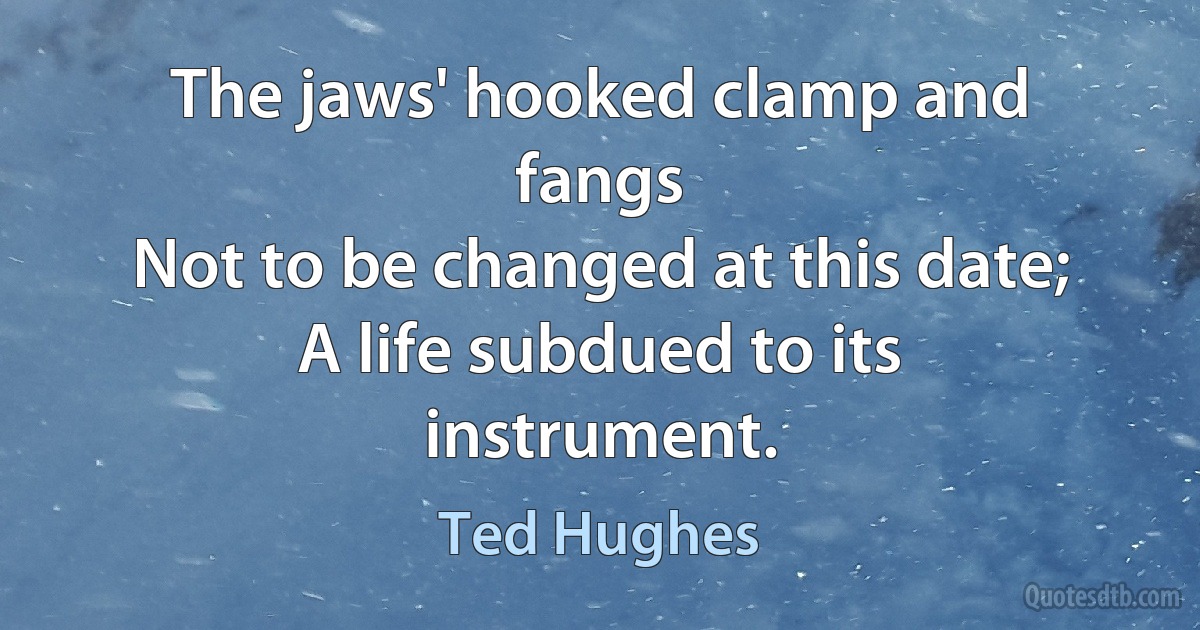 The jaws' hooked clamp and fangs
Not to be changed at this date;
A life subdued to its instrument. (Ted Hughes)