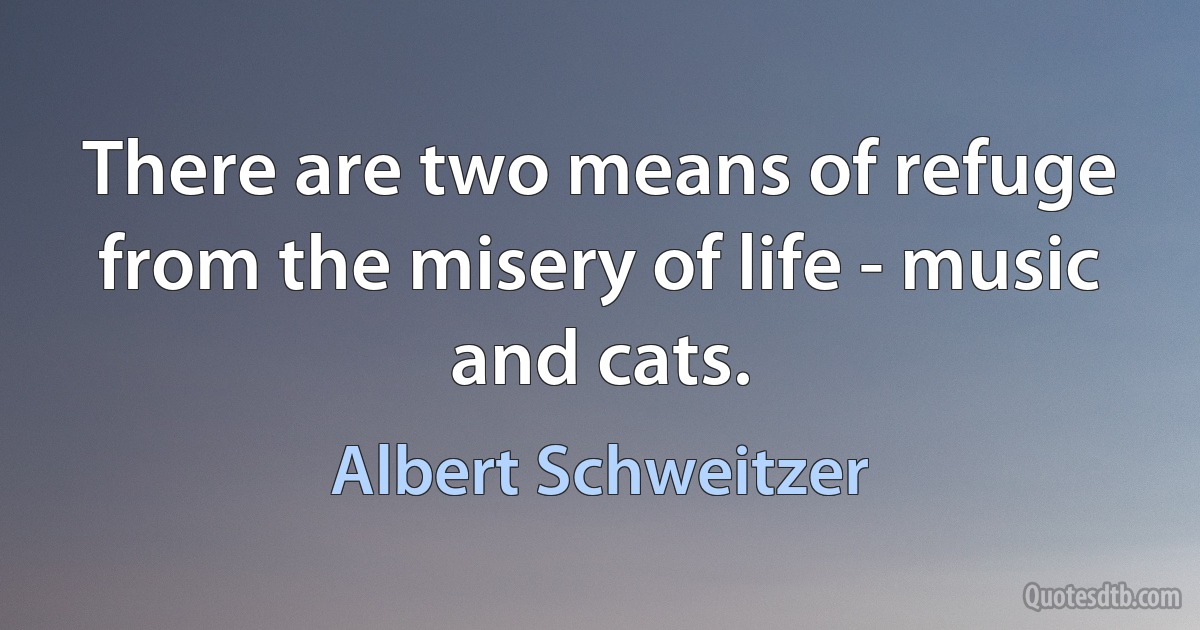 There are two means of refuge from the misery of life - music and cats. (Albert Schweitzer)